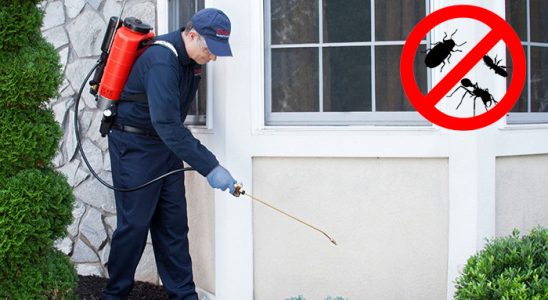 Pozantı Bit İlaçlama böcek ilaçlama ve haşere kontrolü — ilaclama-tr.com
